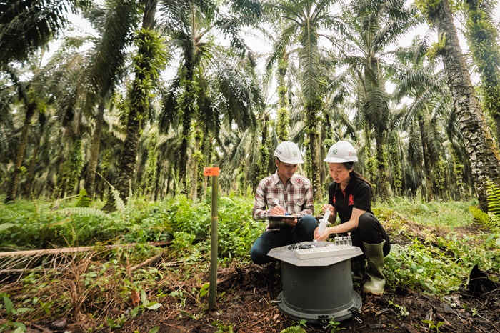 Sinar Mas Agribusiness and Food Buka Pendaftaran Beasiswa Tahun 2024 